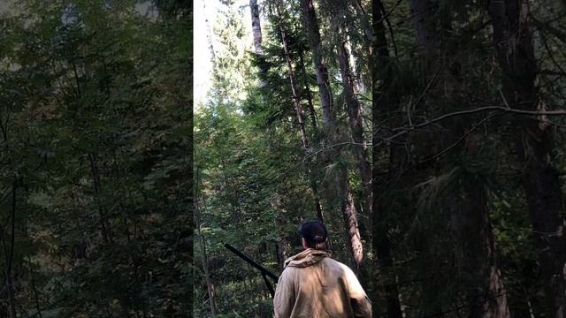 Зовём Рябчика смотреть онлайн