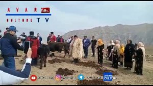 Республика Дагестан Шамильский район,село Гоор -День борозды