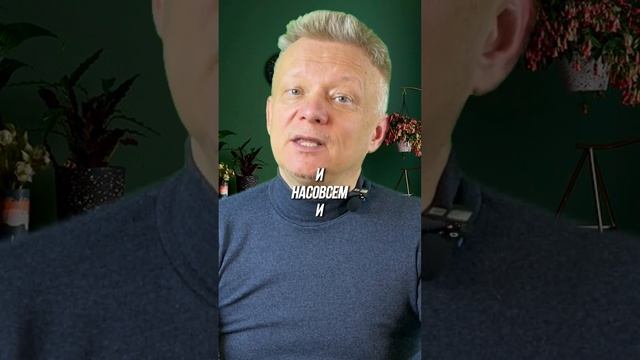 Как начать жить свободно и богато #слушайсебя #бизнес #богатство смотреть онлайн
