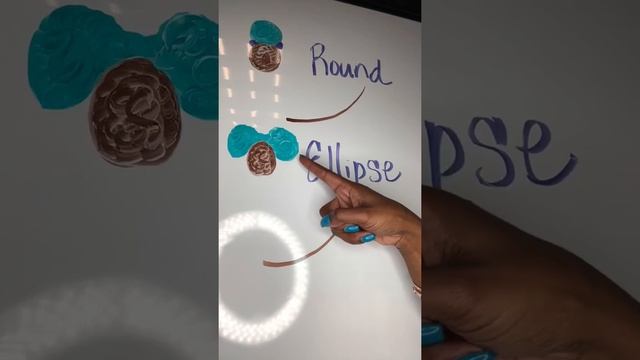 Round Lashes vs Ellipse Lashes смотреть онлайн