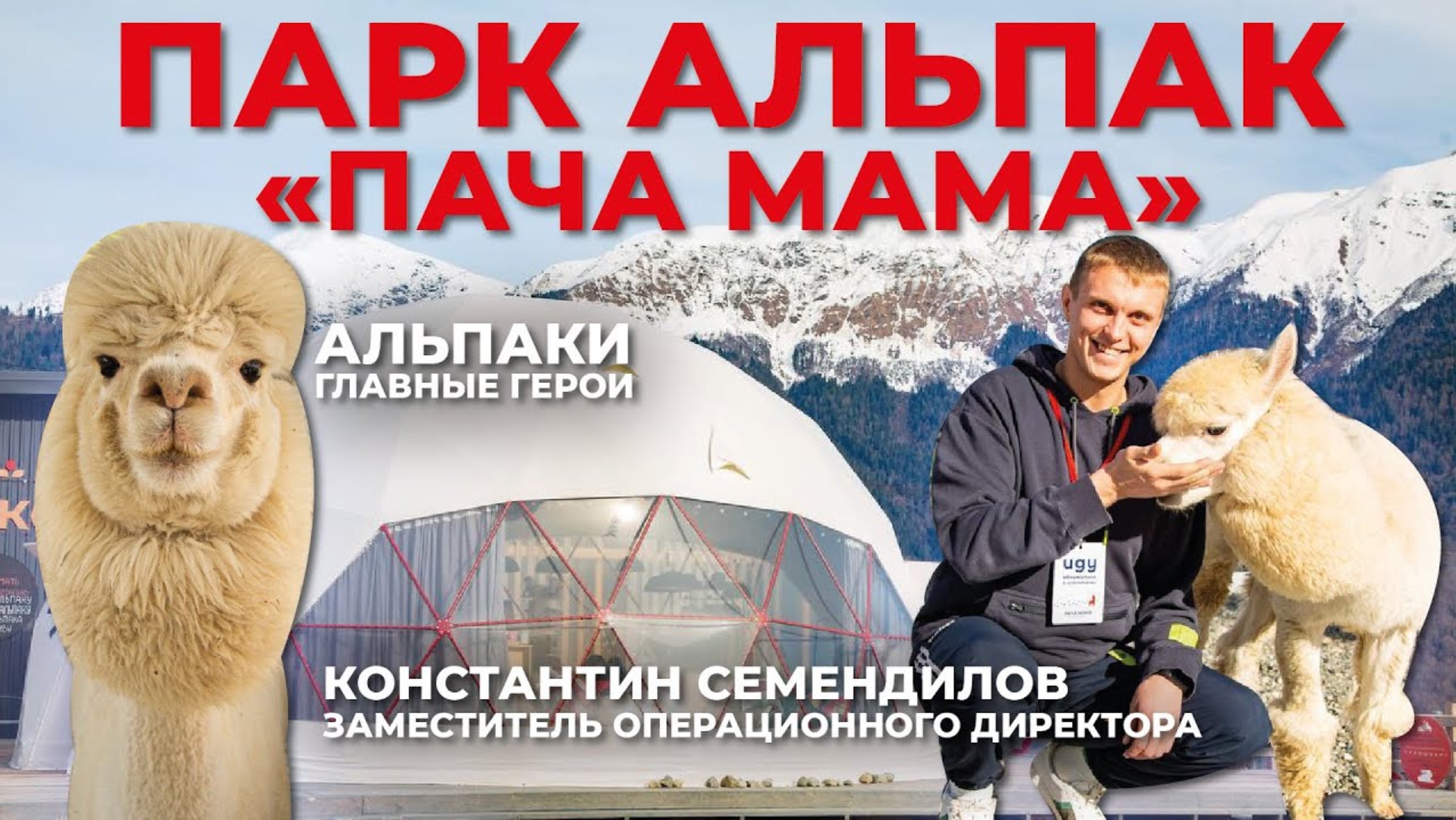 Экскурсия в парк альпак "ПАЧА МАМА". Обзор сферы D10 (78м2). Интервью с руководителем парка смотреть онлайн