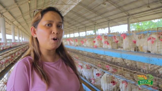 DA ACPC | Agri-negosyo loan program | Kapital access for young agripreneurs loan program смотреть онлайн