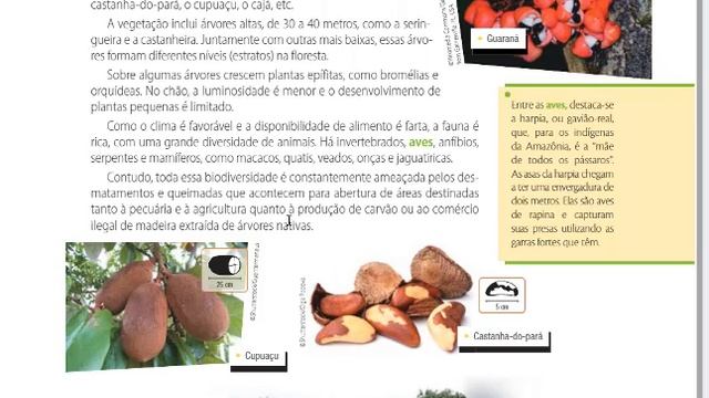 7 Ano Biomas brasileiros смотреть онлайн
