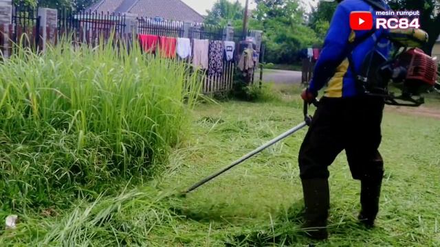 Asap mesin rumput ku ngebul saat potong rumput iLalang di halaman rumah kosong #rc84 смотреть онлайн