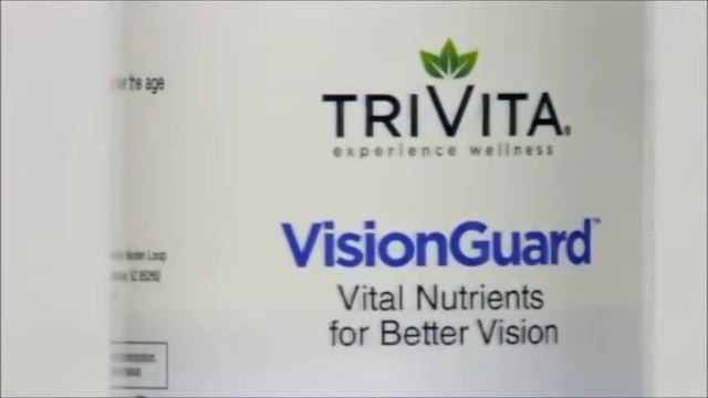 vision.wmv смотреть онлайн