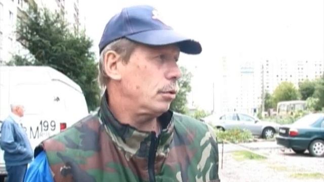 Вырубка деревьев смотреть онлайн