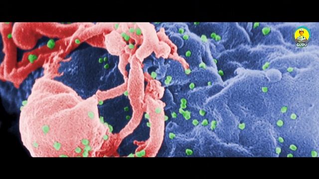 What is HIV & AIDS - Everything you need to Know | Nursing Guru смотреть онлайн