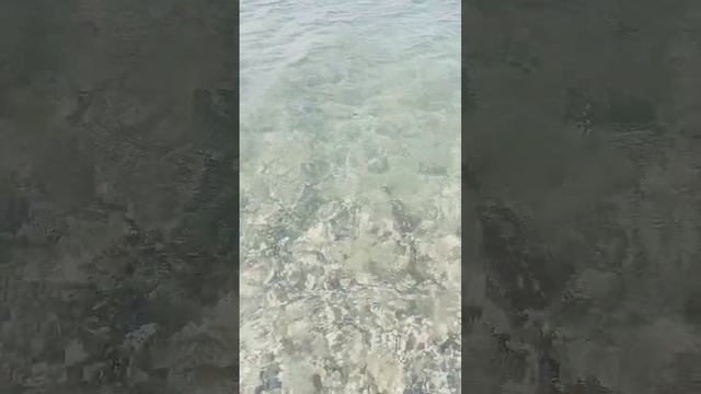 в комментариях писали, что в Евпатории вода холодная. 10 июля пришло холодное течение #2024 смотреть онлайн