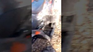 обзор на квадроцикл Motax  Grizlik t200