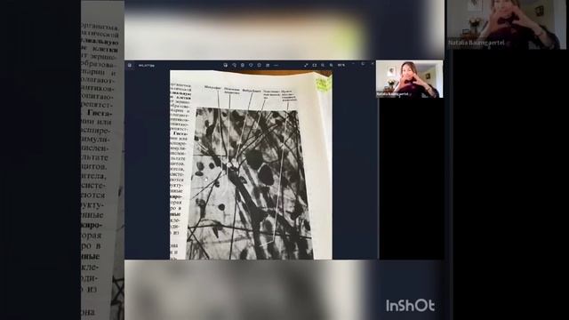 Важность соединительной ткани. смотреть онлайн