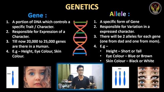 Difference between Gene and Allele | Genetics | Evolution | Tamil | Biology | ThiNK VISION | tnkuma смотреть онлайн