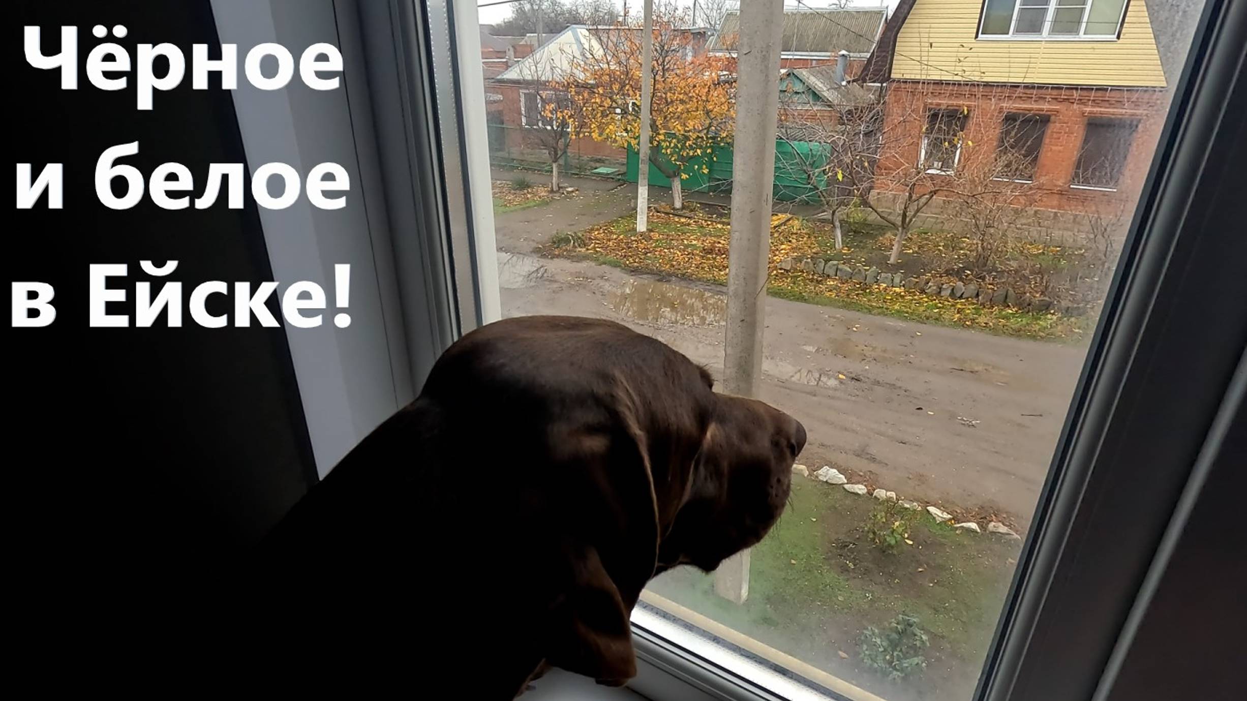 Чёрное и белое в Ейске! Две стороны южного курорта. смотреть онлайн