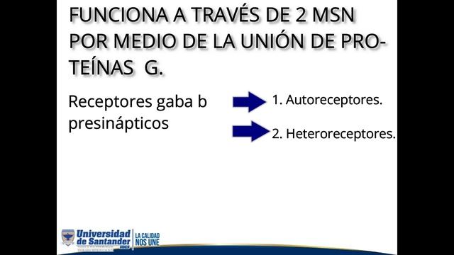 Fisiología - RECEPTOR GABA (Neurotransmisor Inhibitorio) смотреть онлайн