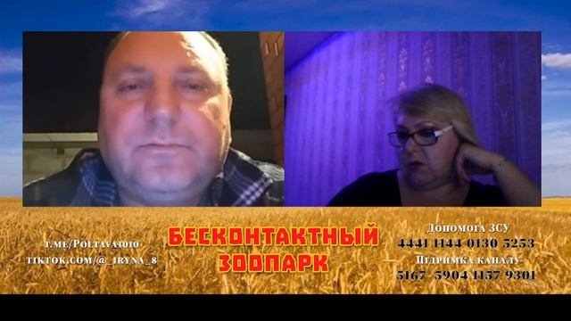 Нiчогенька домовина) смотреть онлайн