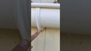 Цветочный горшок из водосточной трубы.