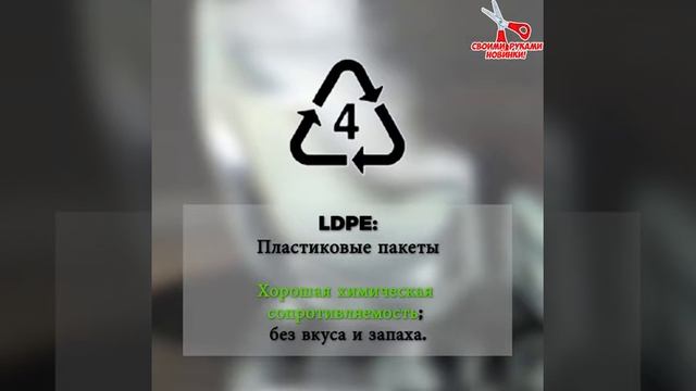 Веселье и развлечения