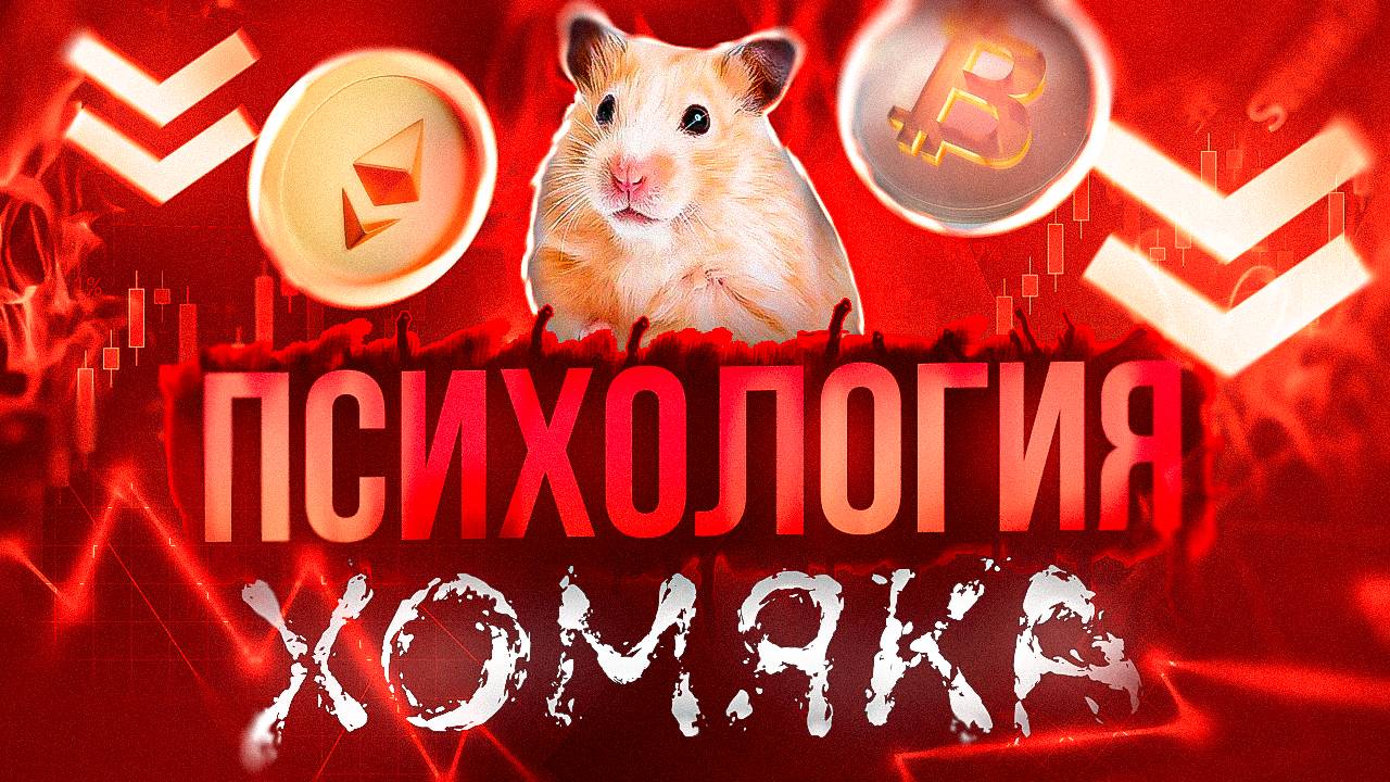 ПСИХОЛОГИЯ ХОМЯКА В ИНВЕСТИЦИЯХ И ТРЕЙДИНГЕ ХОМЯЧКИ НА КРИПТЕ смотреть онлайн
