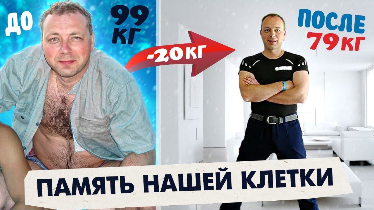 Память нашей клетки смотреть онлайн