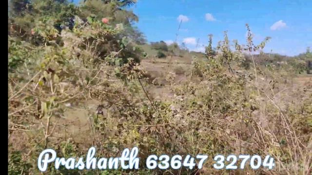 59:-)🪴 11.5 gunta land, 3 km from BM road Ramanagara, price 2.25 l/g, Prashanth- 63647 32704 смотреть онлайн