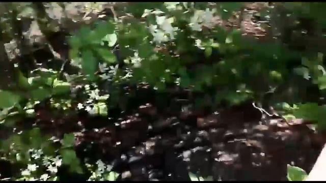 в саду смотреть онлайн