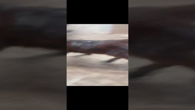 23.11.24 дочка Ненси