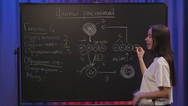 САМАЯ сложная схема в ЕГЭ по биологии: разбор циклов | Умскул смотреть онлайн