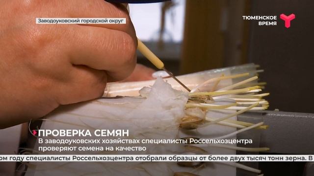 Проверка семян смотреть онлайн