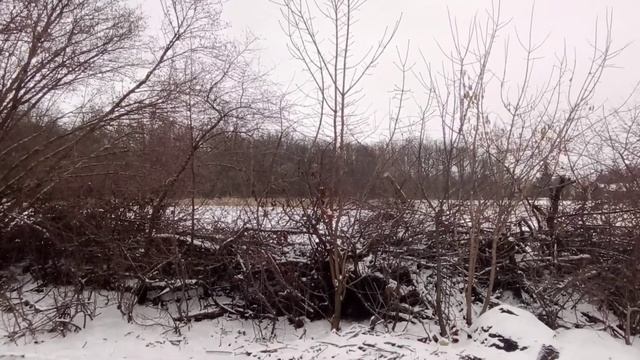 Собачья котломойка смотреть онлайн