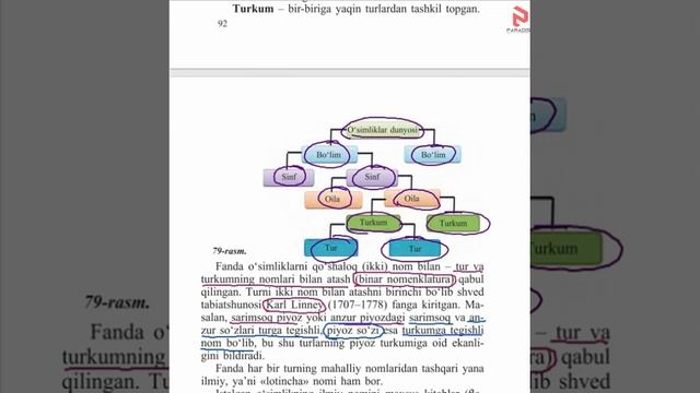 Biologiya 38 Mavzu 6 Sinf смотреть онлайн
