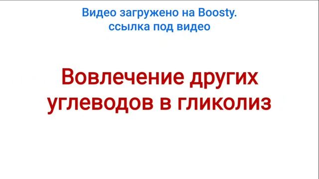Биохимия: обмен углеводов (Вовлечение в гликолиз других моносахаридов). смотреть онлайн