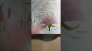 биология 6 класс АВТОР«ИСАЕВ«все необходимое из параграфа 26