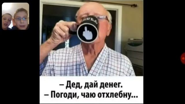 Реакция король лев против кота смотреть онлайн