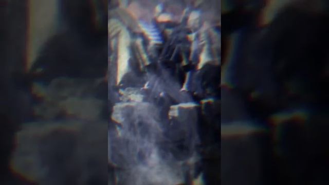 Лойко Артём - Герои России смотреть онлайн