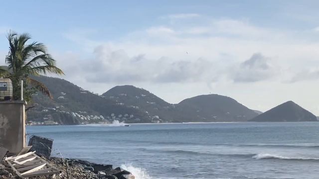 Tempo doing a fly by Carrot Bay 11/5/19 смотреть онлайн