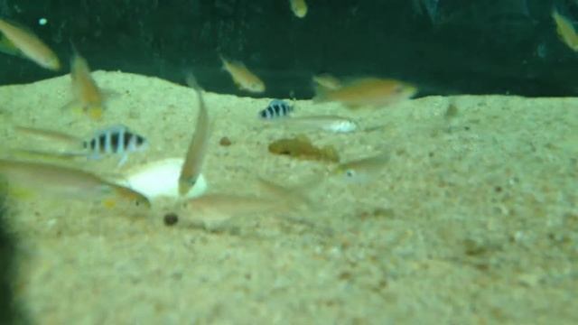 IMG 5456 смотреть онлайн