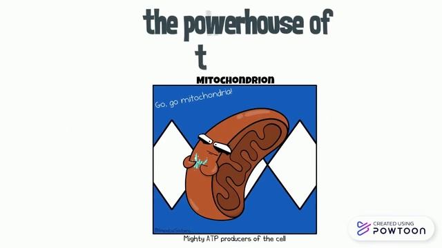 ADVENTURE CELLS | THE CELL SONG смотреть онлайн