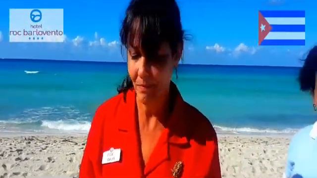 Jefe Departamentos 03 2018 смотреть онлайн