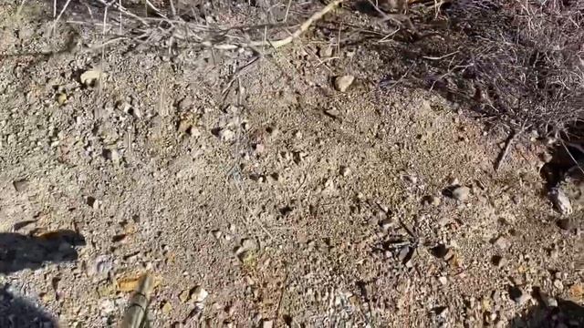 Metal detecting in the desert смотреть онлайн