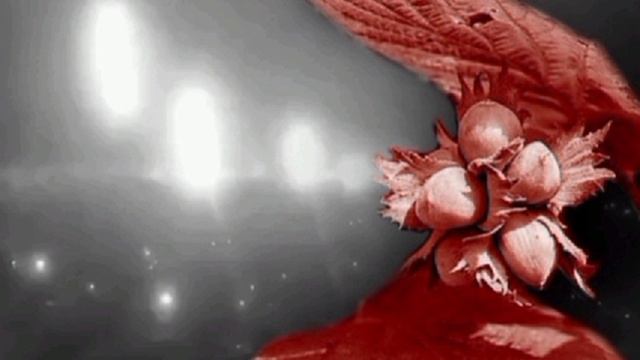 ОРЕШНИК смотреть онлайн