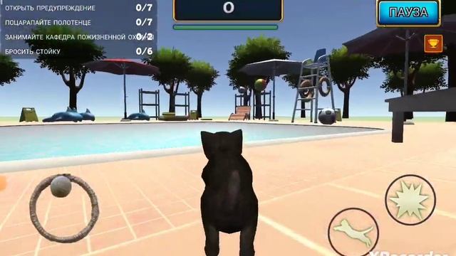 Баг как попасть в секретное место в игре Cat Simulator Kitty Craft