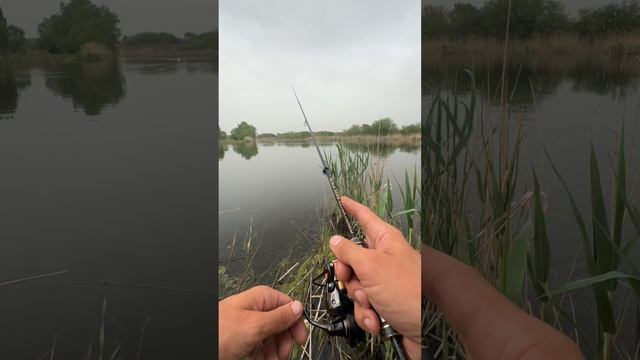 Еле достал из воды!!Мощная раздача весенних окуней!!! смотреть онлайн