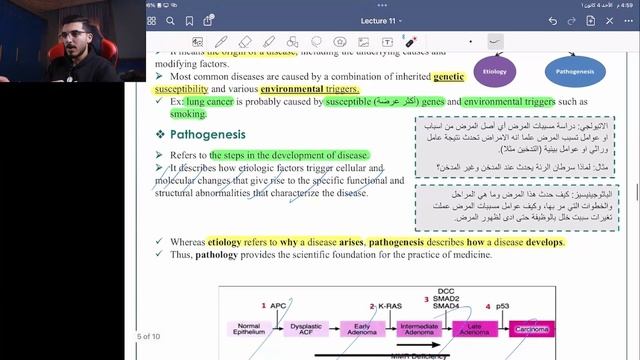 Introduction to Medicine 2022 | L11: Introduction to Pathology - by عبدالله الكوفحي смотреть онлайн