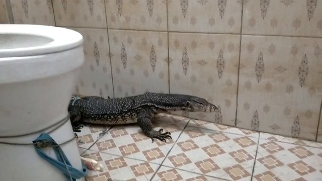 BOROE смотреть онлайн