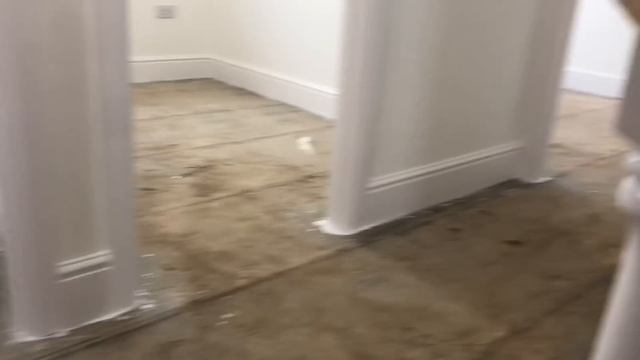 Painters Prices, 5 bedroom house, No doors смотреть онлайн