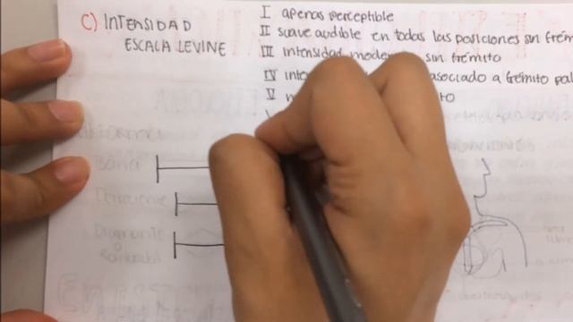 El soplo de la estenosis aortica смотреть онлайн