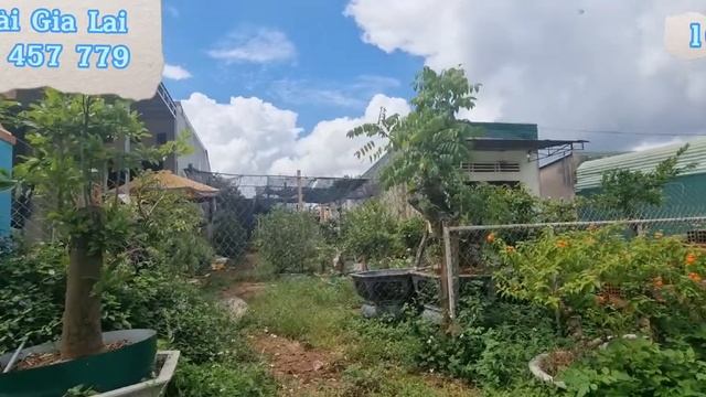 bán đất ở [8×60 ][100m² thổ cư cư ] [QL 19A dân cư đông đúc] giá 160tr/1m tới.[gần nhà thờ] смотреть онлайн