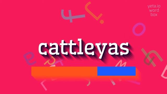 HOW TO SAY CATTLEYAS? #cattleyas смотреть онлайн