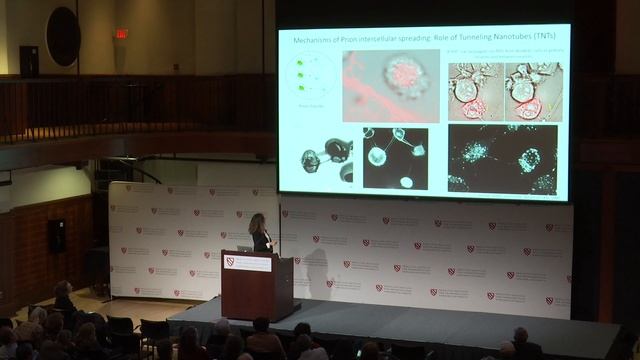Understanding the Progression of Neurodegenerative Diseases | Chiara Zurzolo || Radcliffe Institute смотреть онлайн