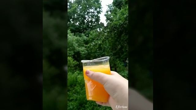 Залипашки #1/ Цветная вода / Reverse\ Куся ЛИМОНчик смотреть онлайн