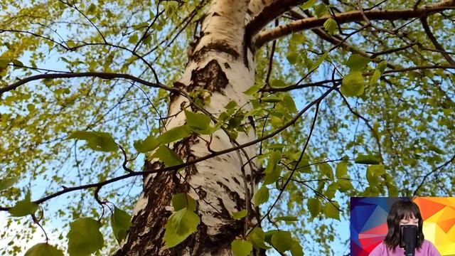 Муж ушёл к любовнице, узнав, что та получила богатое наследство. Но спустя три года он приполз... смотреть онлайн